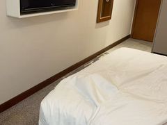 -希迪特谷中城酒店