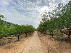 -南国桃园旅游度假区