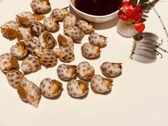 花螺-富黎华海鲜大酒楼(正大广场店)