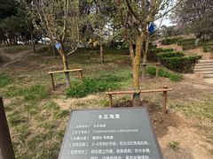 -元大都城垣遗址公园