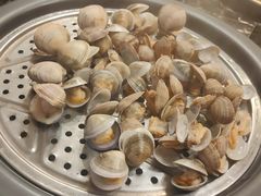 贝壳拼盘-蔚海之都·象山蒸汽海鲜(仙霞路店)