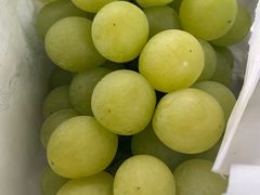 -马陆小张葡萄园农家乐