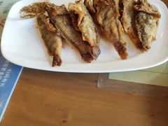 -北京小肠陈饭庄(方庄店)