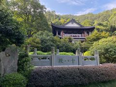 -十八棵（老龙井）御茶园(老龙井店)