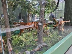 -国家自然博物馆