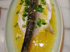 鸡汁太湖白鱼-京城小江南·北京烤鸭·江南土菜·白鱼(中关村店)