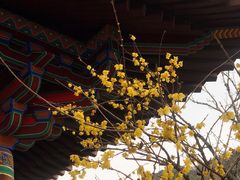 -西安华清御汤酒店