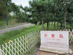 -小麦岛公园