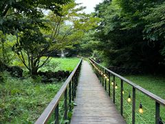 -济州森林小火车生态公园