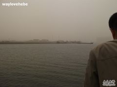 -海河外滩公园