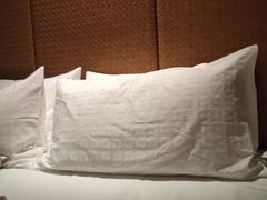 -电谷雅阁国际大酒店