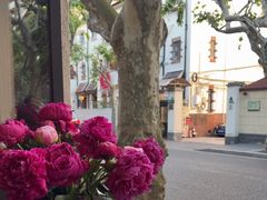 -Apollo·西班牙小酒馆(安福路店)