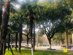 -中央公园(苏州工业园区)