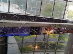 -南京空港温德姆花园酒店·MTF满庭芳中餐厅