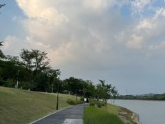 -羊山湖公园