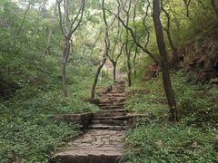 -老象峰