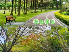 -荔香公园