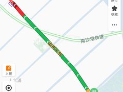 -大湾区中央湿地公园-十九涌