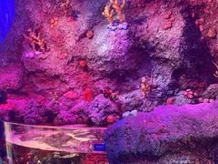 -沈阳海洋探索中心