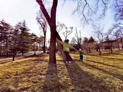 -晋祠公园