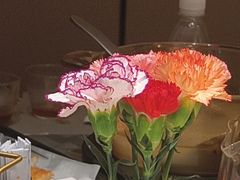 -小厨娘淮扬菜(河西奥美大厦店)