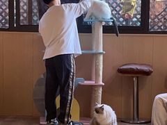 -MOCHA明星猫咖(田子坊店)