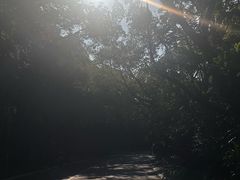 -南宁南湖公园
