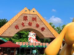 -深圳野生动物园