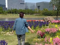 -春花秋色城市公园