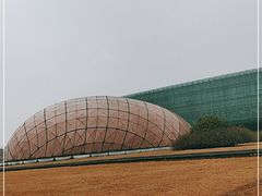 -金陵图书馆