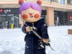 -长白山万达喜来登度假酒店