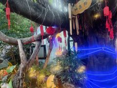-金水泊山庄·花椒鸡(铁山坪店)