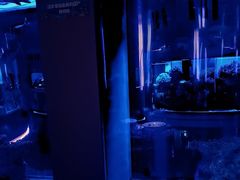 -上和臻品中国菜(花园街店)