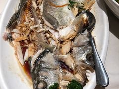 -觅唐MITONG(鸟巢店)