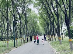 -东郊湿地公园