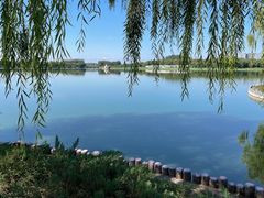 -大兴滨河森林公园