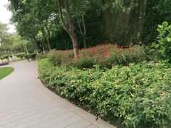 -厦门悦华酒店