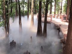 -东湖落雁景区