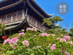 -龙华寺