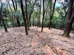 -火炉山森林公园