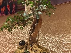 -豆爺小面(朱雀店)