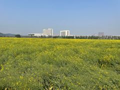 -光明小镇欢乐田园