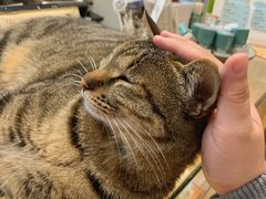 -猫的天空之城概念书店(杭州南宋御街店)