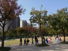 -新江湾城公园