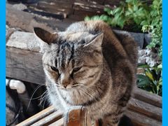 -大冰的小屋