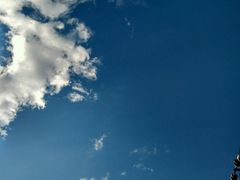 picture-月亮河温泉度假酒店