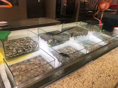 -咖啡苑自助餐厅·中国大饭店