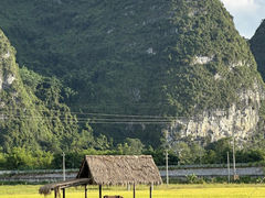 -明仕田园