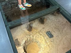 -南越王博物院(王宫展区)