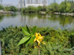 -城市运动公园(未央区)